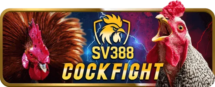 Email hỗ trợ 98vin